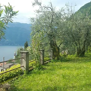 Gli Ulivi Di Holiday home
